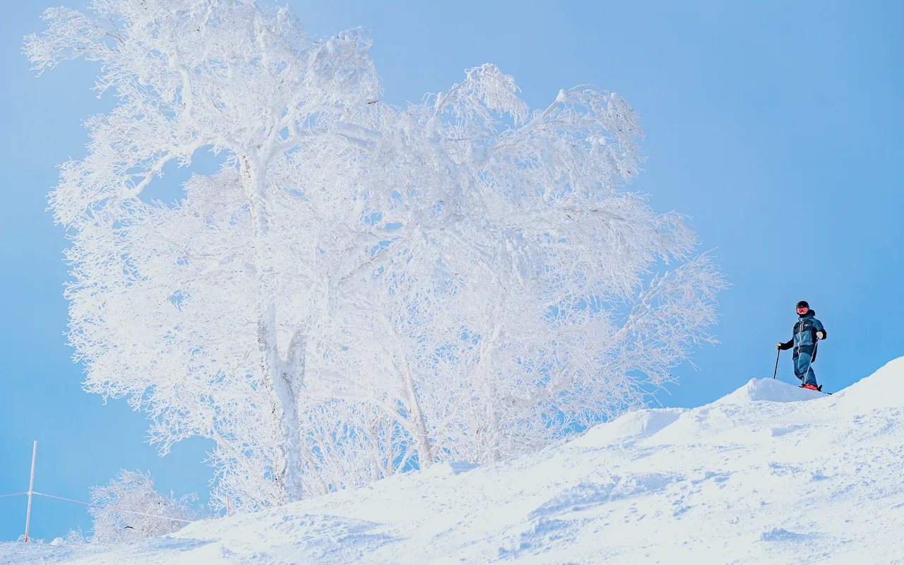 樹冰環繞的手稻雪道