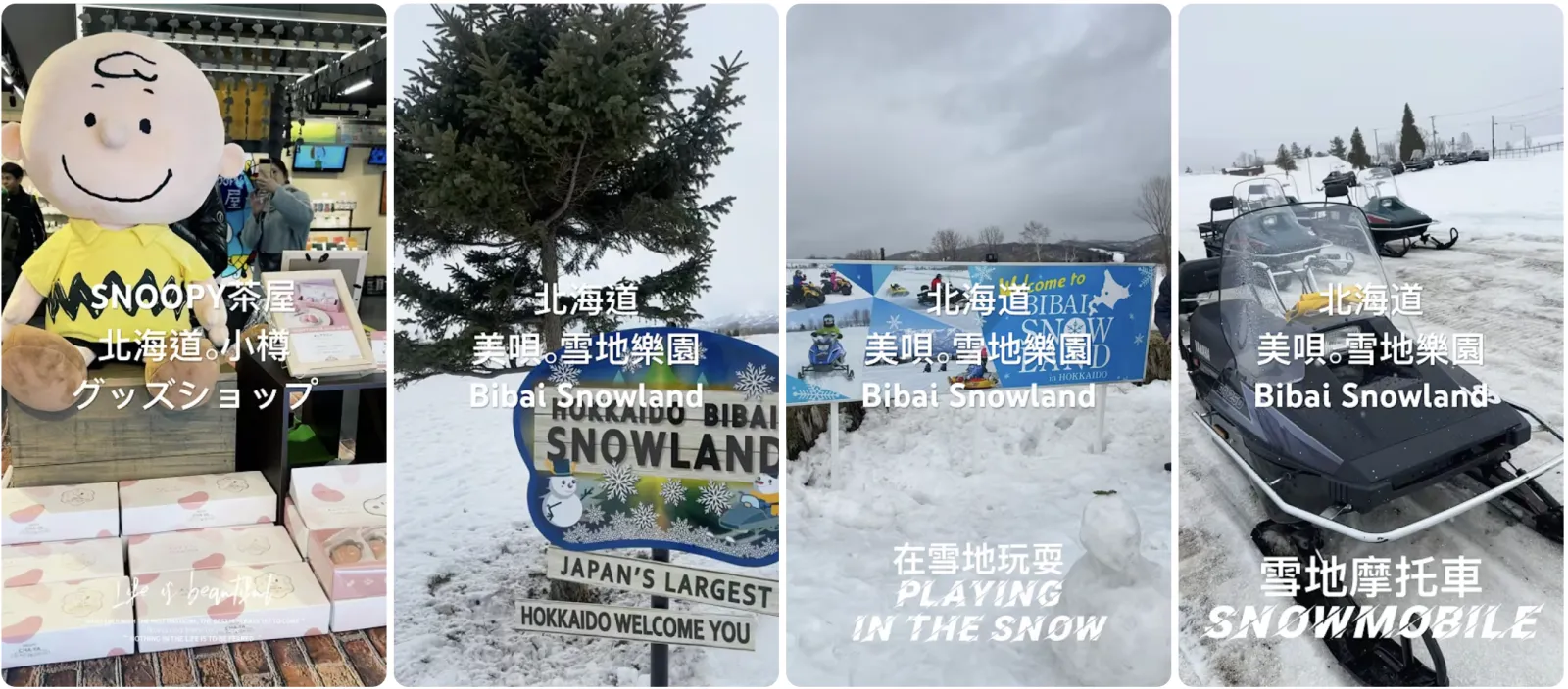 雪地樂園入口與雪地活動拼貼