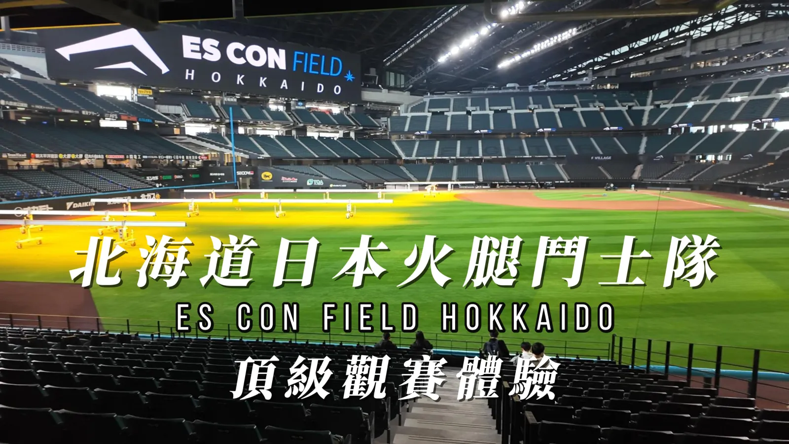球場內野全景