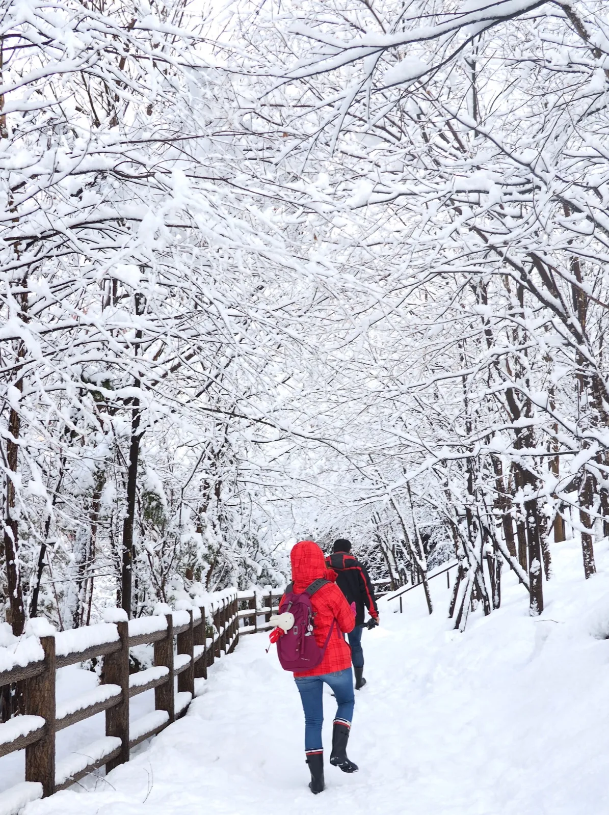 源泉公園雪樹步道
